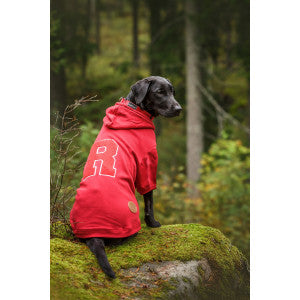 Hunde Sweat-Shirt Sierra, rot
