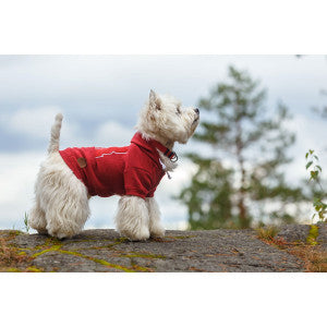 Hunde Sweat-Shirt Sierra, rot