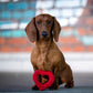Mini Heart - Kult-Spielzeug für Hunde