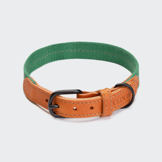 Hundehalsband Madeira Amber
