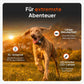GPS Tracker für Hunde