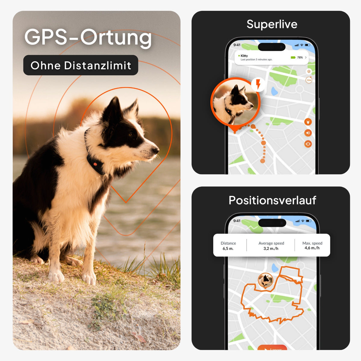 GPS Tracker für Hunde