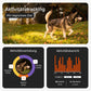GPS Tracker für Hunde
