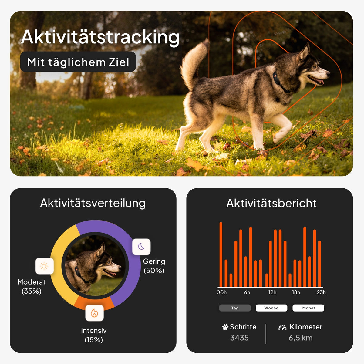 GPS Tracker für Hunde