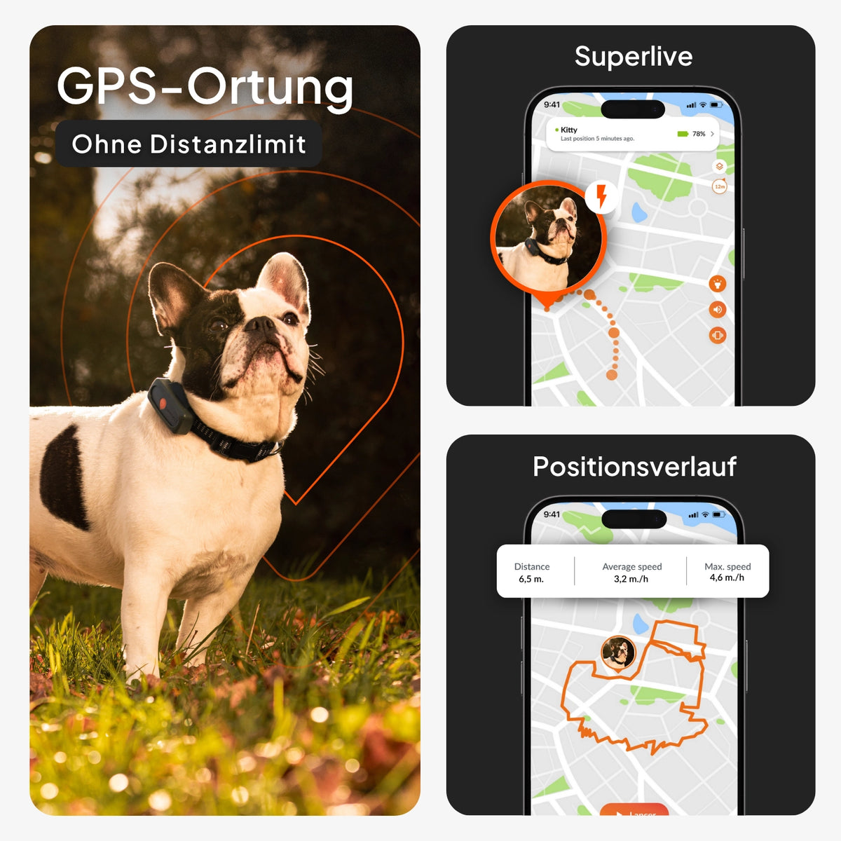 GPS Tracker für Hunde