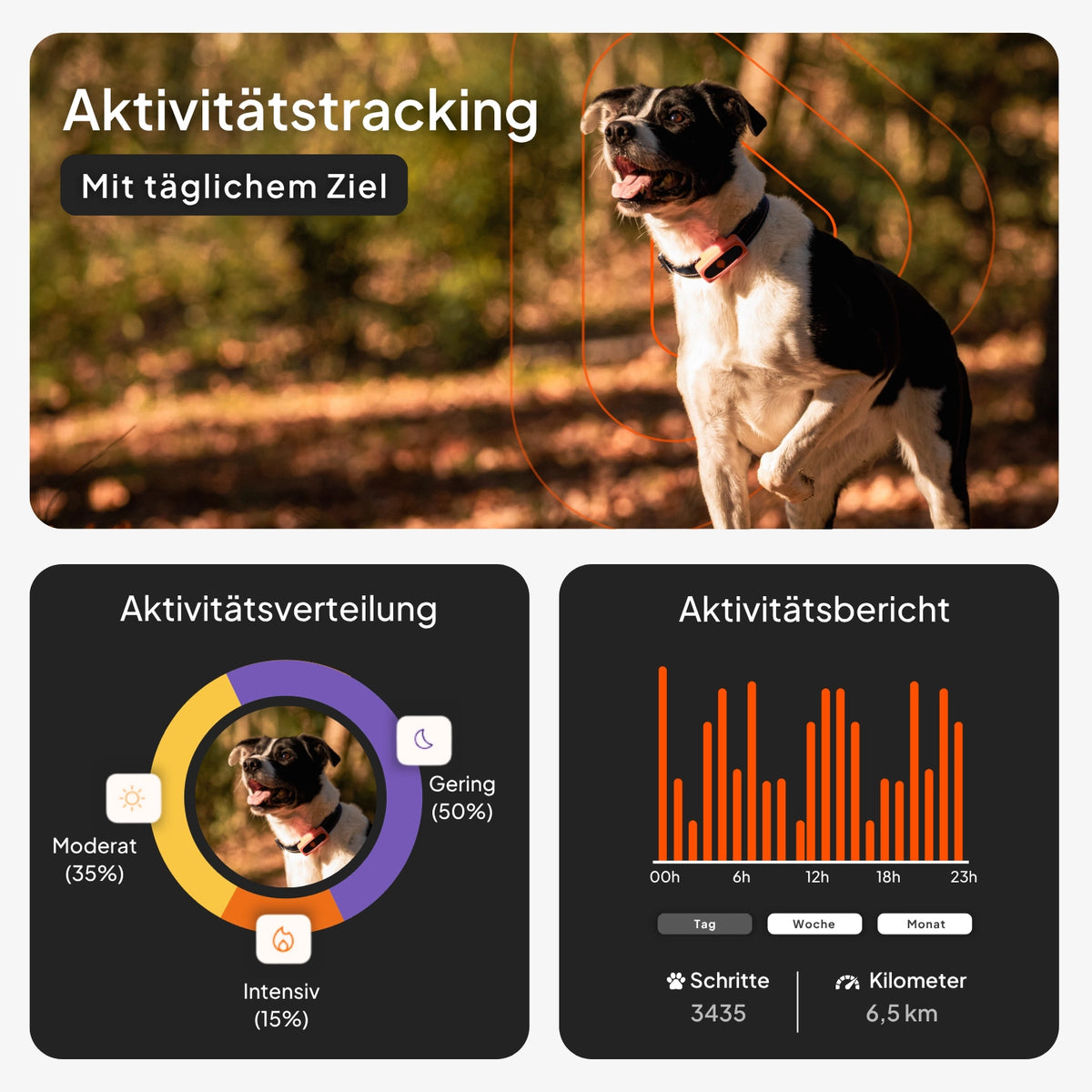 GPS Tracker für Hunde