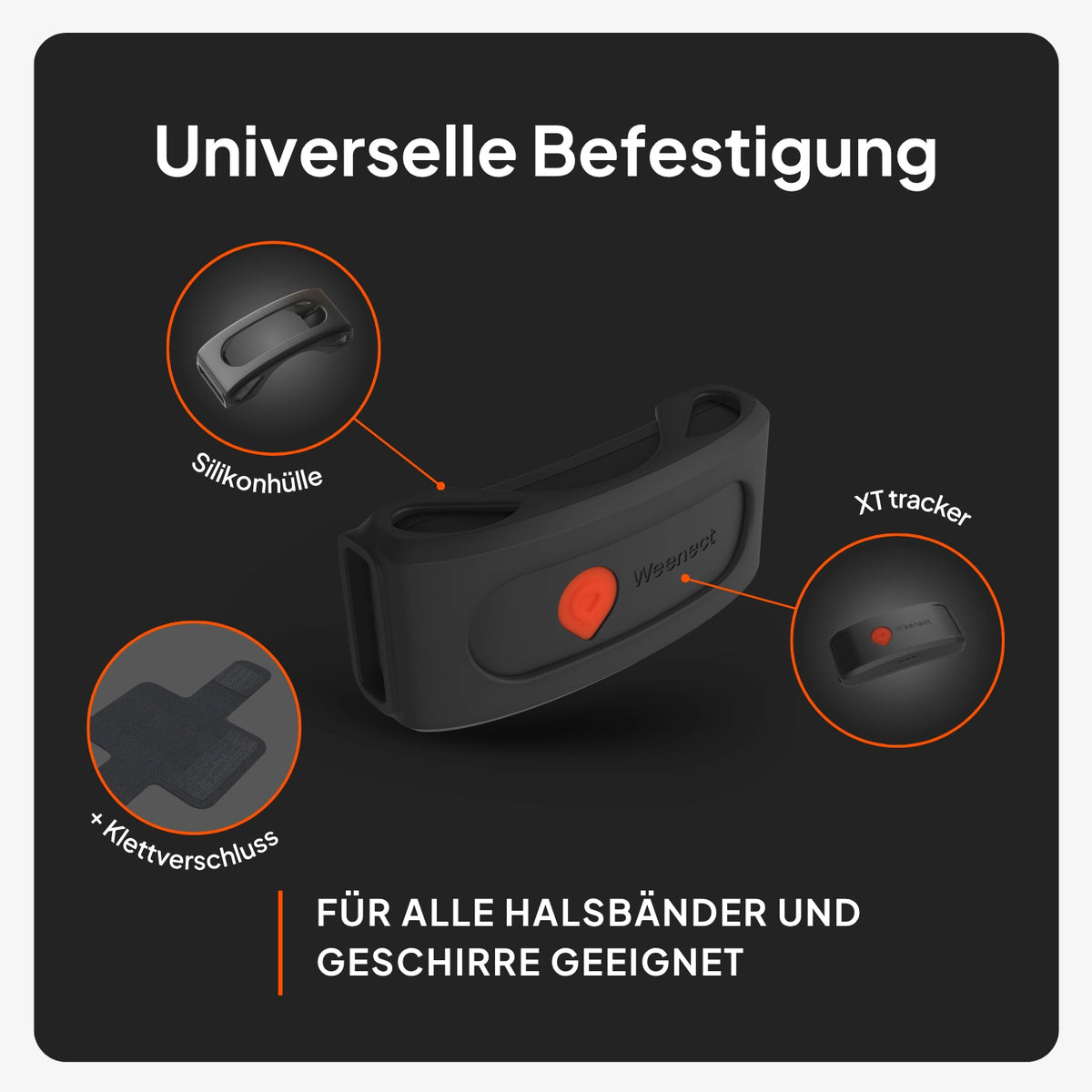GPS Tracker für Hunde