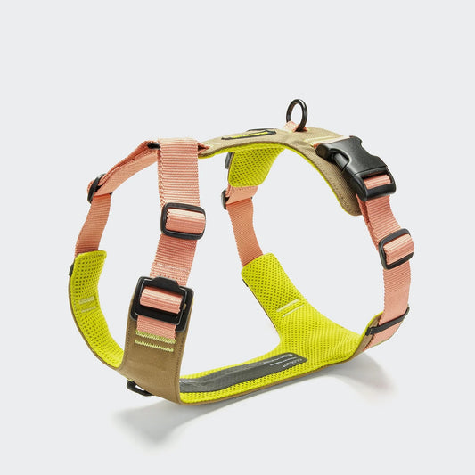 Y-2 Geschirr AKTIV Cordura Peach