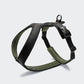 Y-1 Geschirr AKTIV Air-Mesh Black