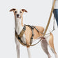 L-1 Freihandleine AKTIV Khaki/Grey