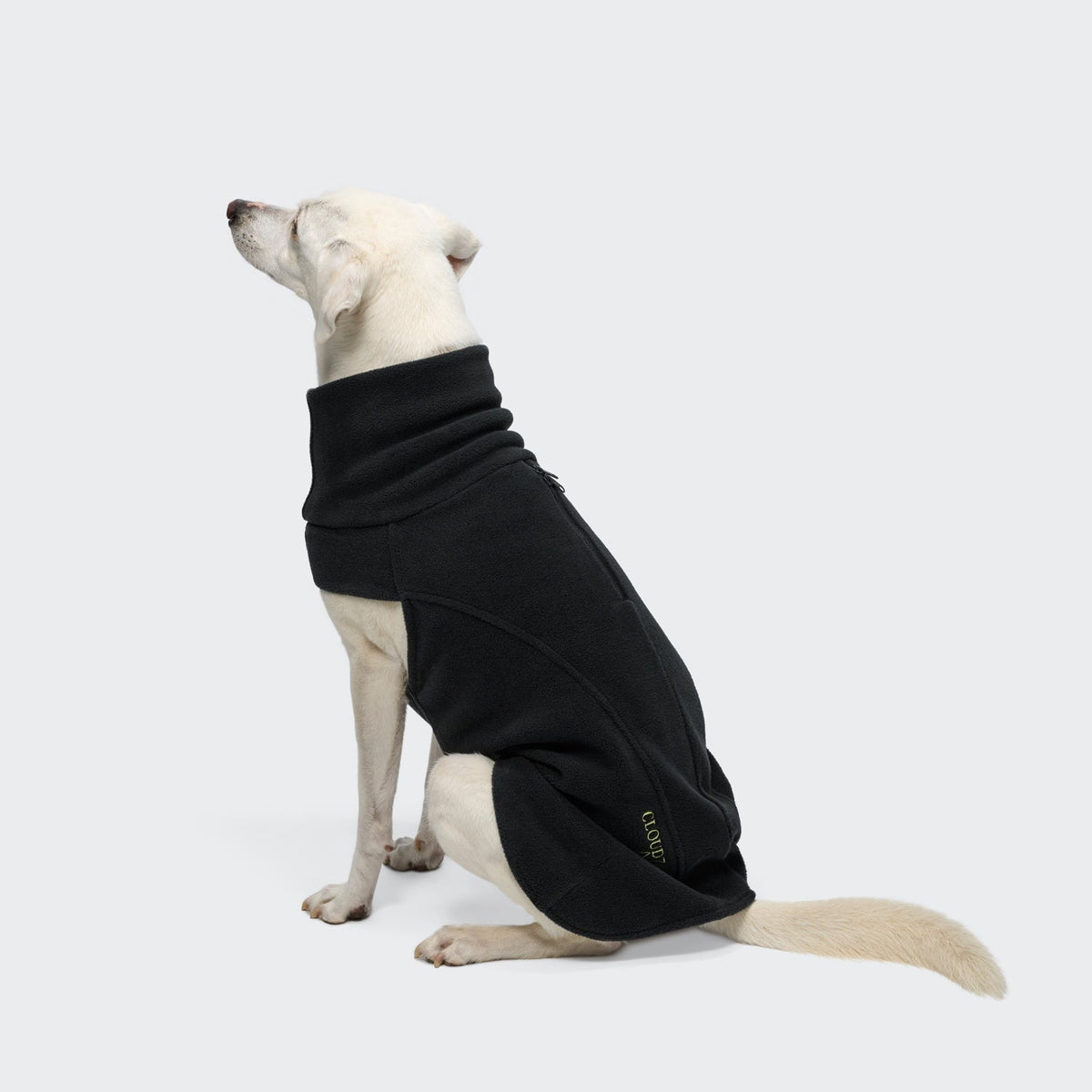 Body Warmer AKTIV Black