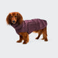 Hundemantel Dackel Alaska Dark Aubergine