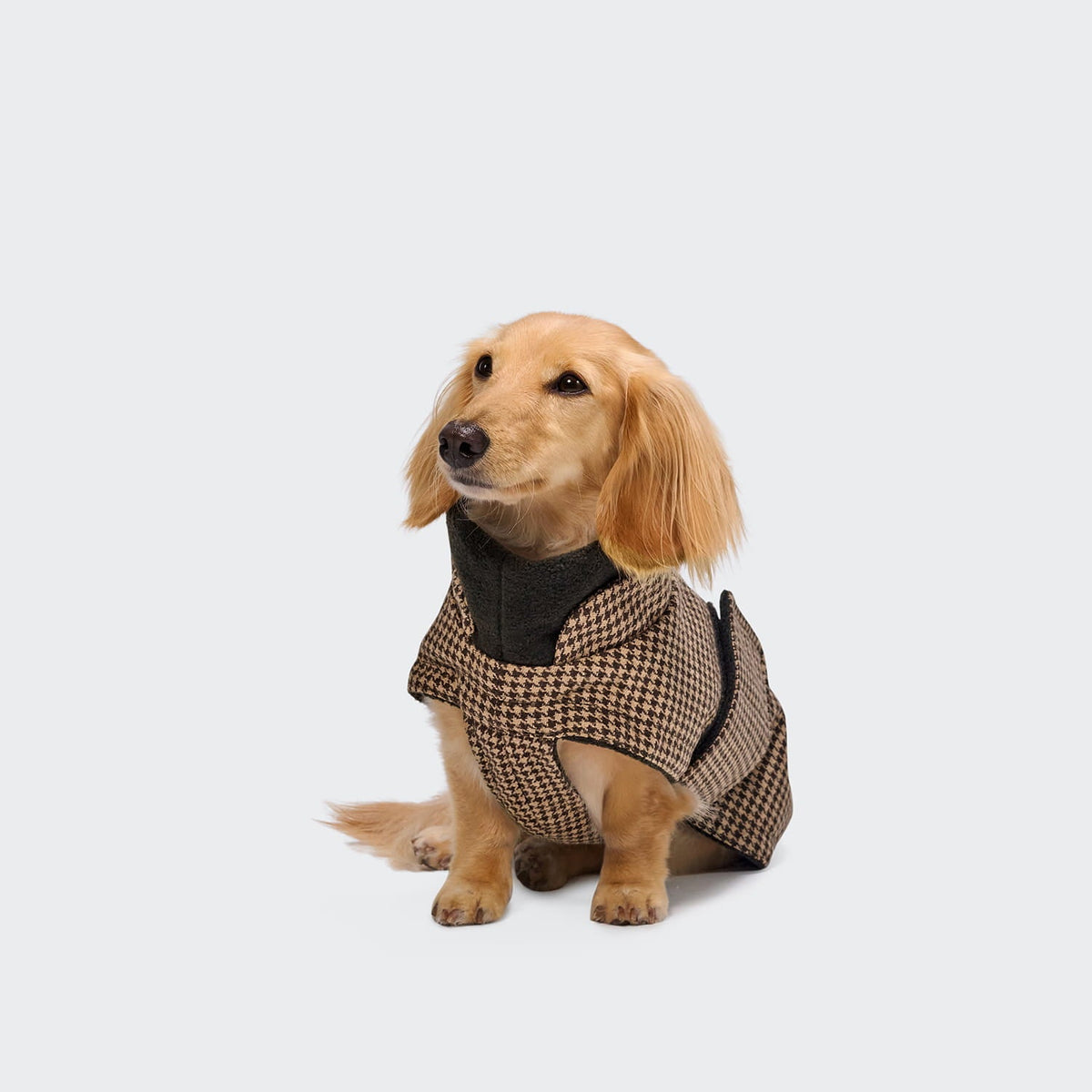 Hundemantel Dackel Brooklyn Hahnentritt