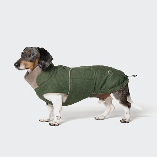 Hundemantel Dackel Brooklyn Flanell Fern Green