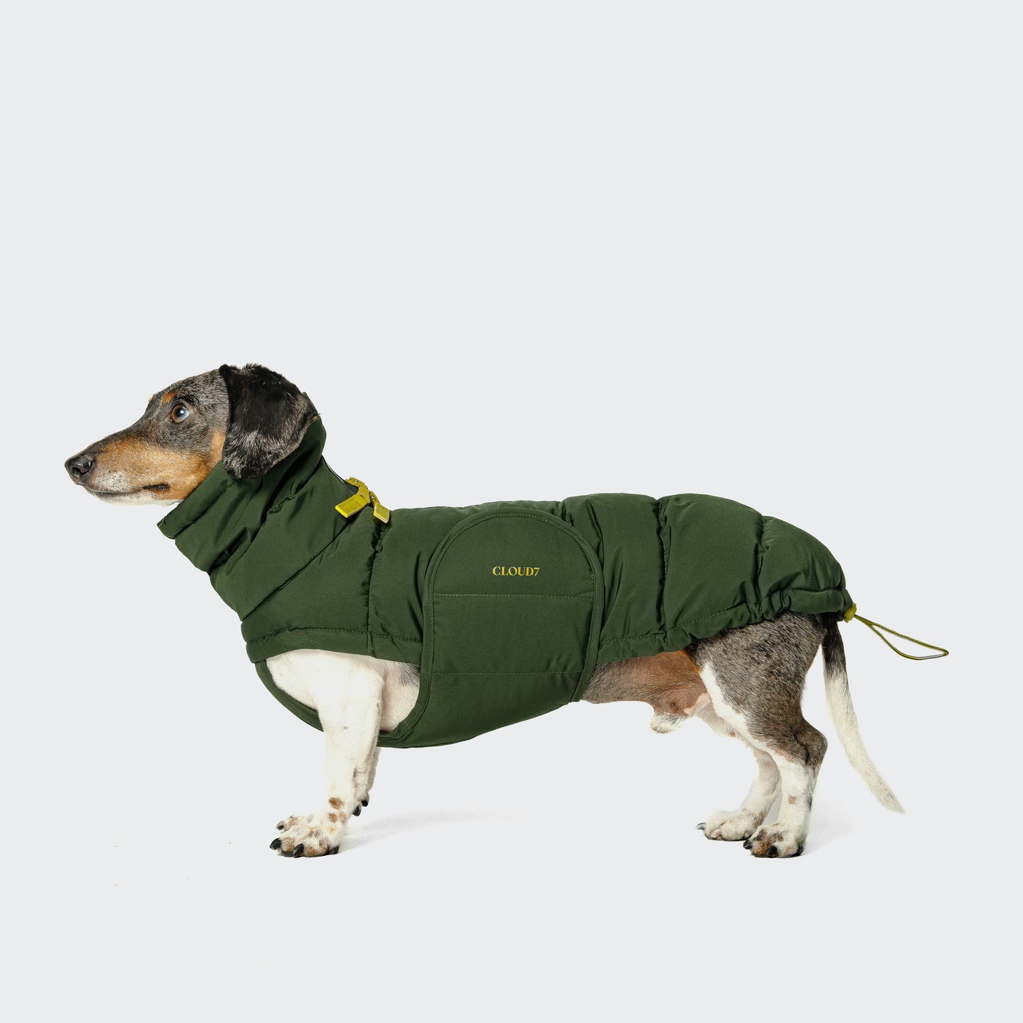 Hundemantel Dackel Alaska Olive