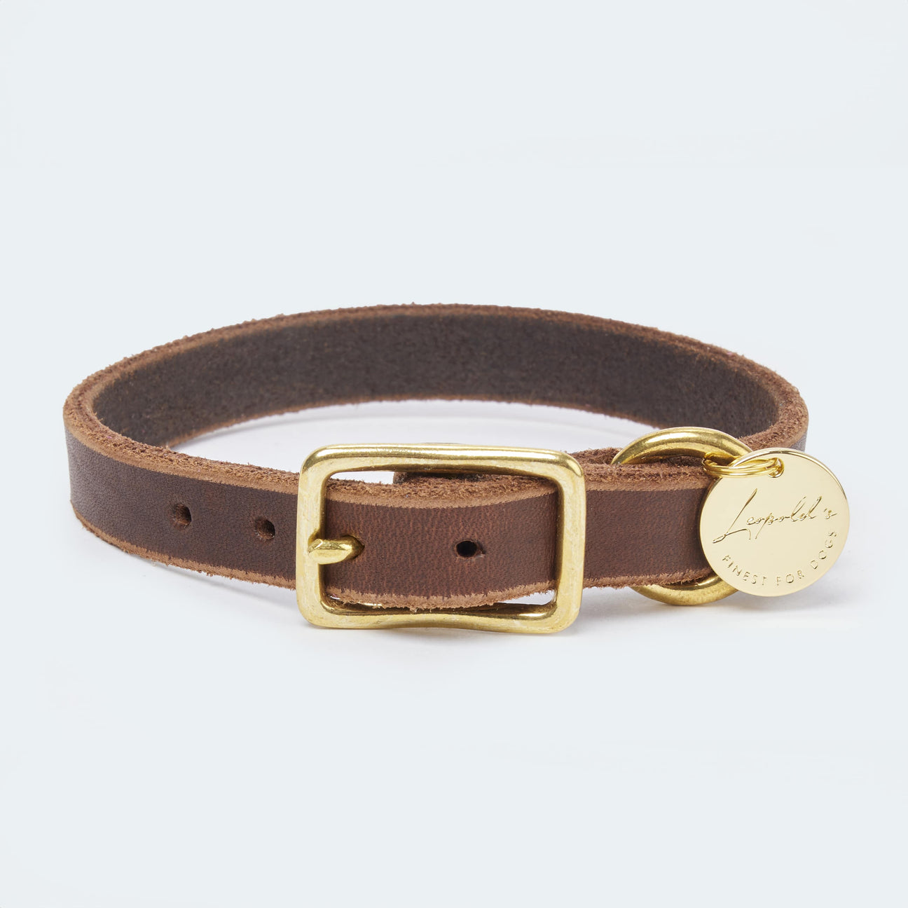 Abgerundetes Fettlederhalsband für Dackel und kleine Hunde