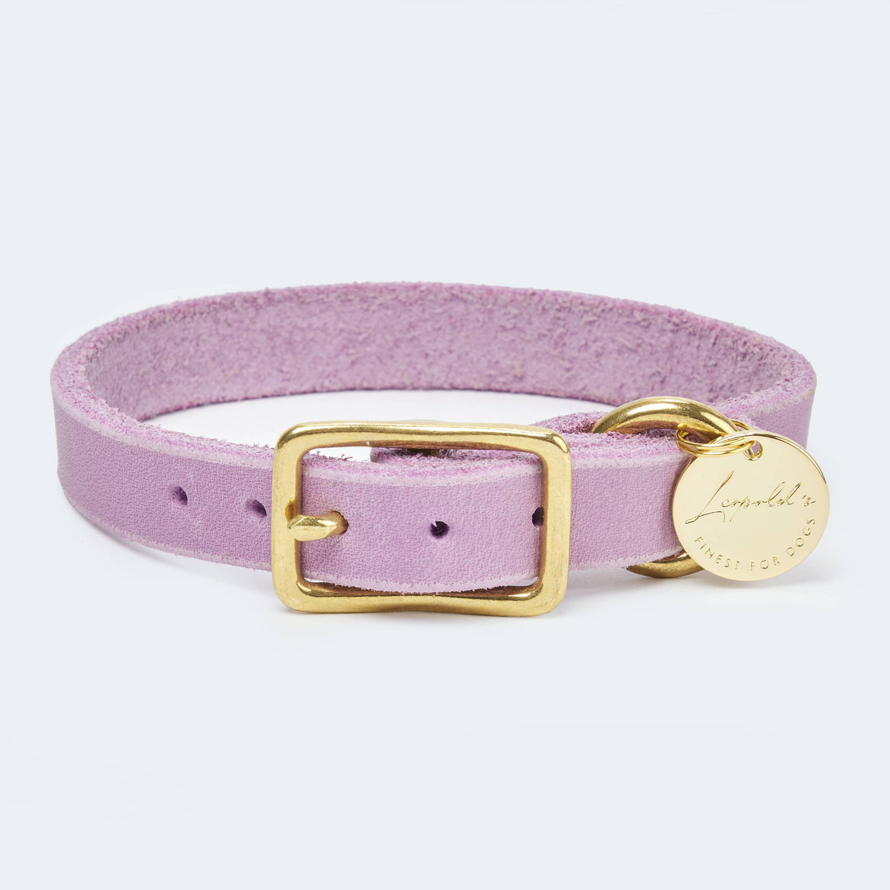 Abgerundetes Fettlederhalsband für Dackel und kleine Hunde
