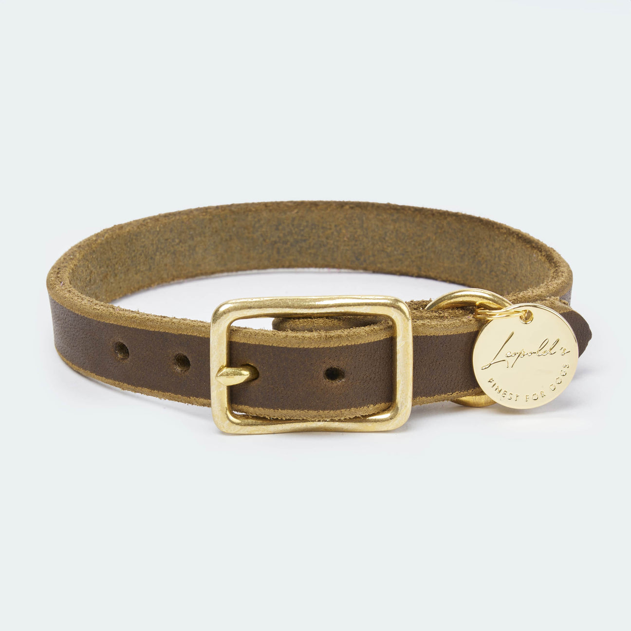 Abgerundetes Fettlederhalsband für Dackel und kleine Hunde