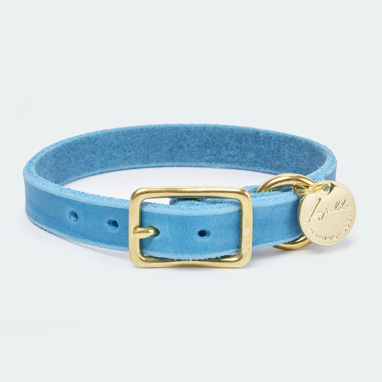 Abgerundetes Fettlederhalsband für Dackel und kleine Hunde