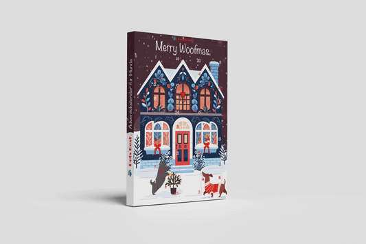 Adventskalender 2025 Cozy Dog House
