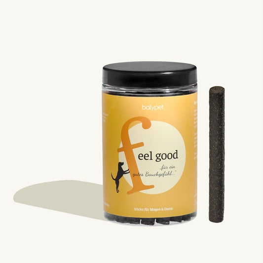 FEEL GOOD – Sticks für Magen & Darm