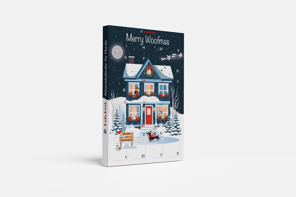 Adventskalender Santa’s Moonlight Skates
