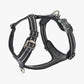 V2 Walk Harness (Air)
