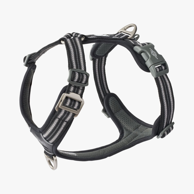 V2 Walk Harness (Air)