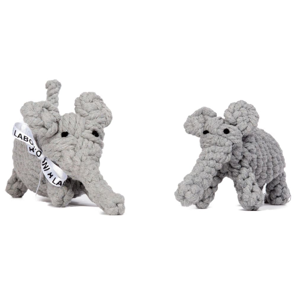Elton Elefant Jr. - Kult-Spielzeug für Hunde