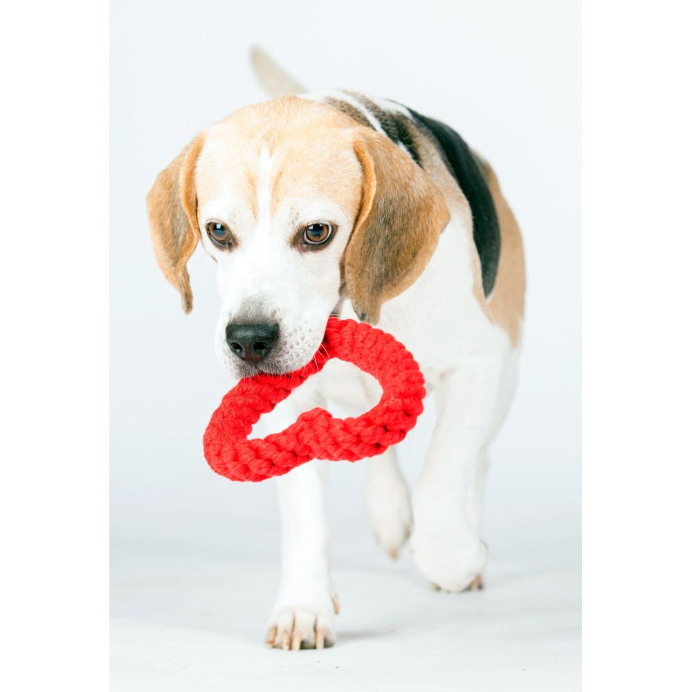 Hertha Heart - Kult-Spielzeug für Hunde
