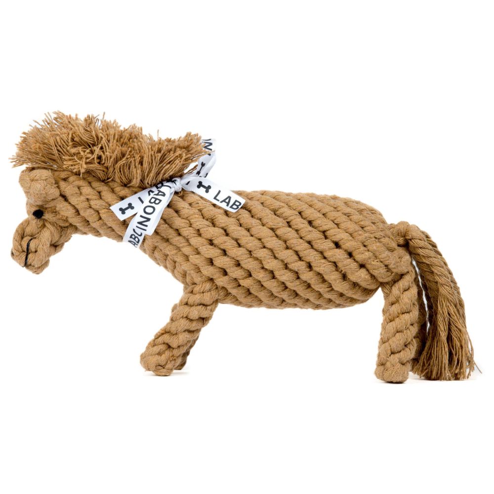 Franz Pferdinand - Kult-Spielzeug für Hunde