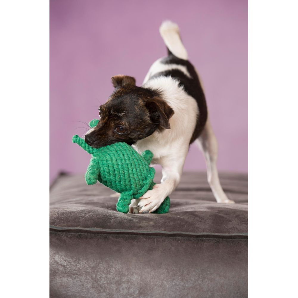 Tina Turtle - Kult-Spielzeug für Hunde