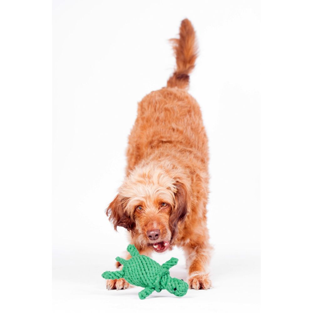 Tina Turtle - Kult-Spielzeug für Hunde