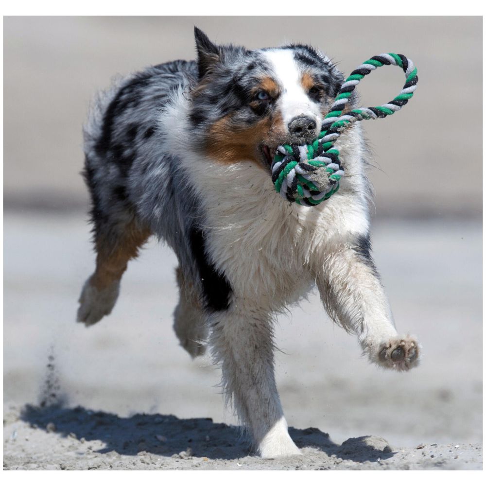Mega Schleuderball - Kult-Spielzeug für Hunde