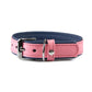 Hundehalsband Firenze
