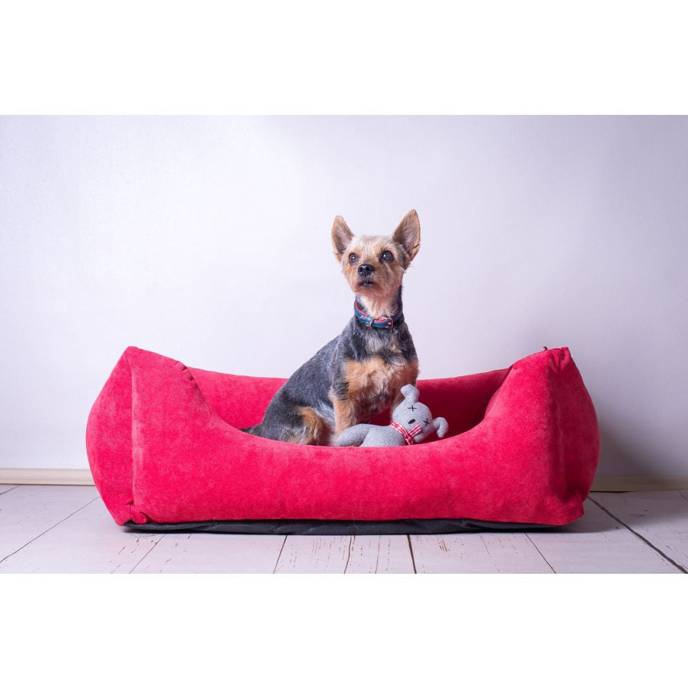 Hundehalsband Firenze
