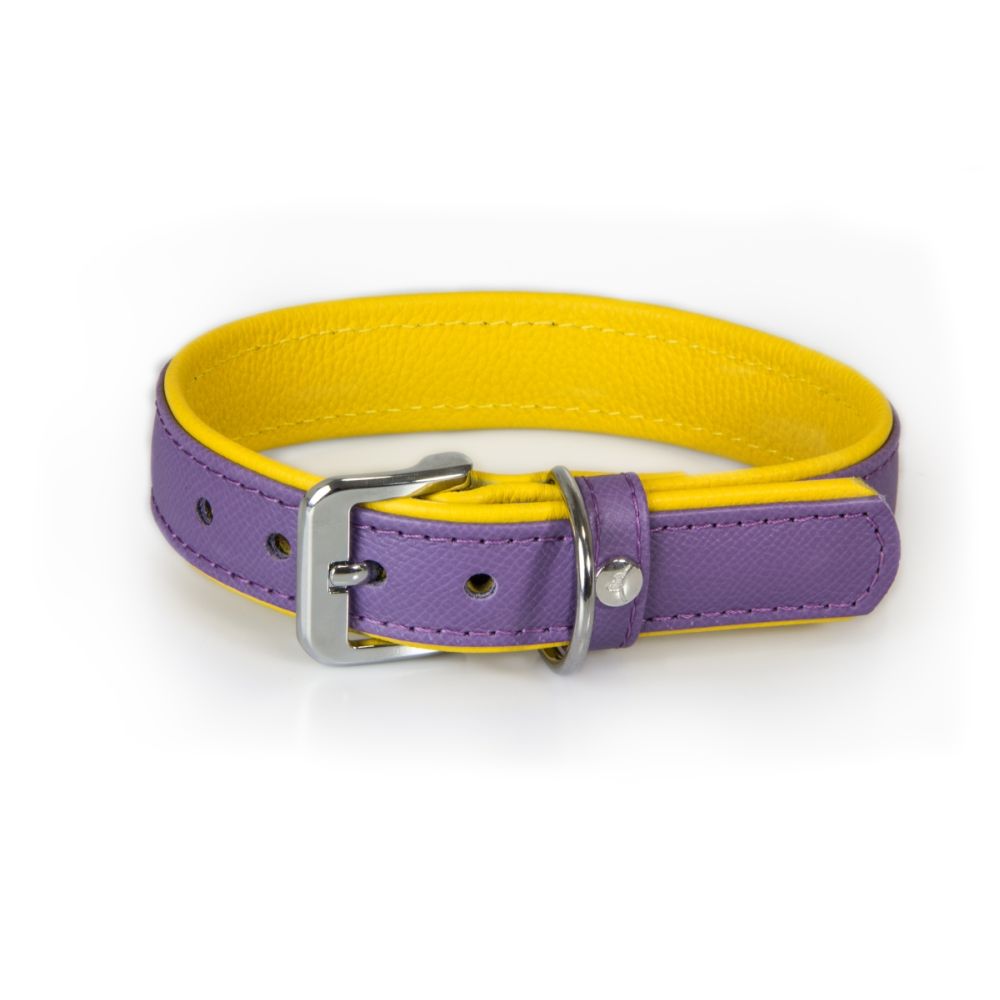 Hundehalsband Firenze