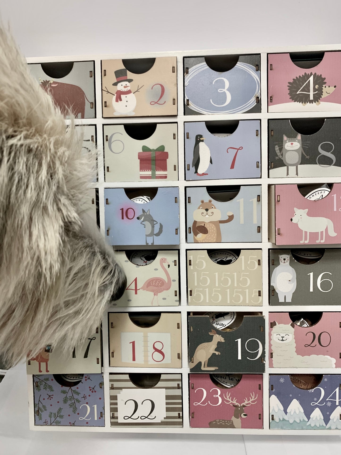 Bunter Adventskalender